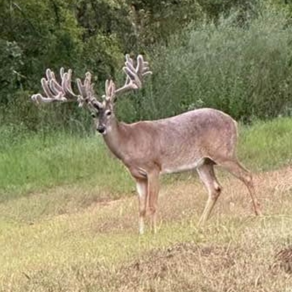 Meet your Posher, Jason - Picture 10 of 16